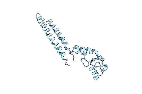 2F42 image