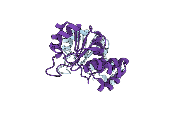 2F46 image