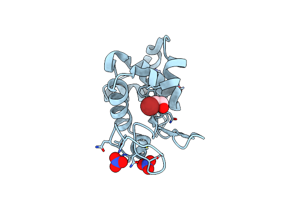 2F4G image