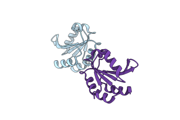 2F51 image