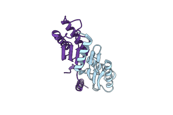 2F5G image