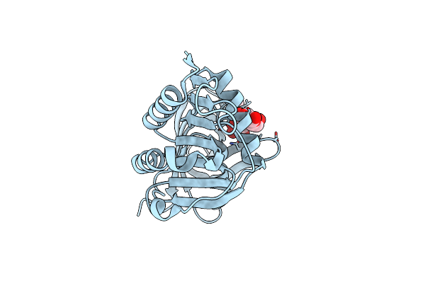 2F5T image