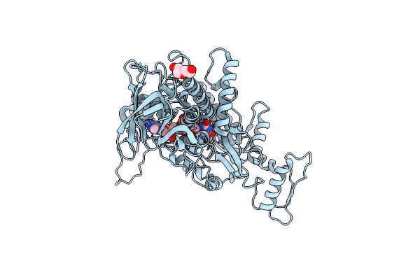 2F5V image