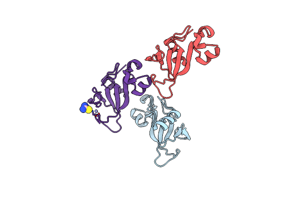 2F5W image