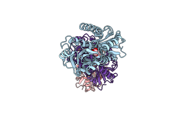 2F5X image
