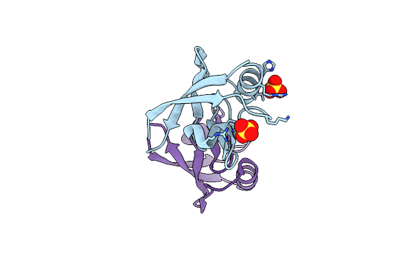 2F5Y image