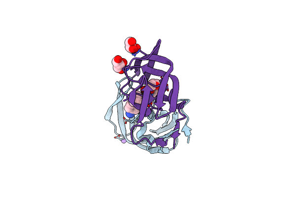 2F81 image