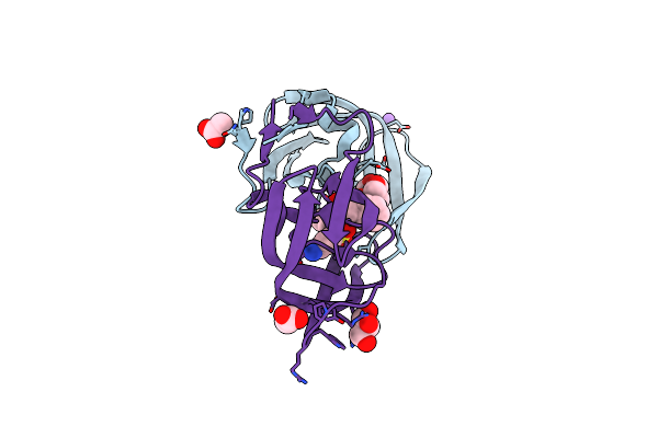 2F8G image