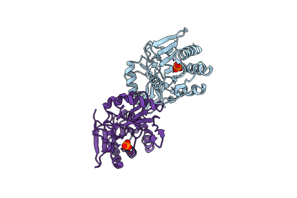 2F8M image