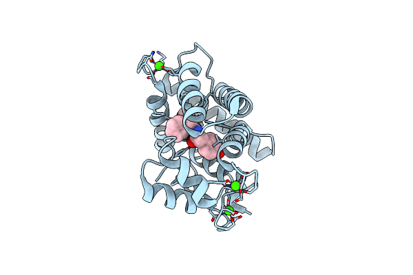 2F8P image