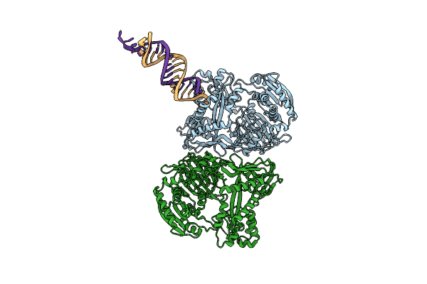 2F8S image