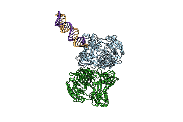 2F8T image