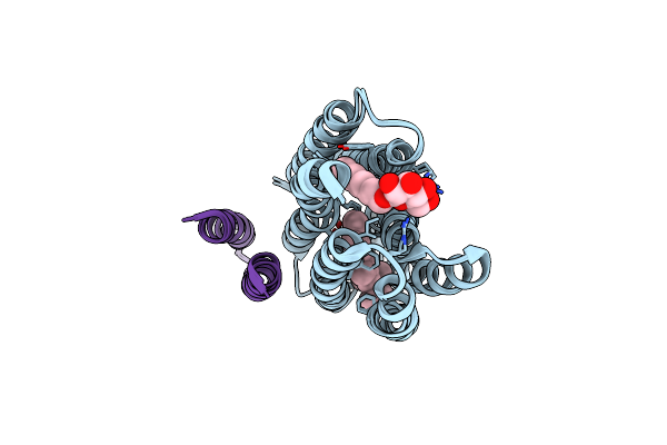 2F95 image