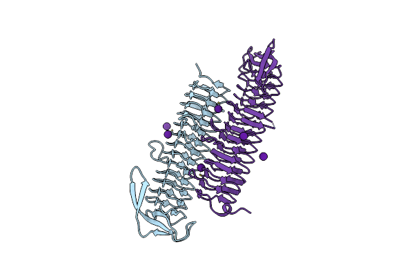 2F9C image
