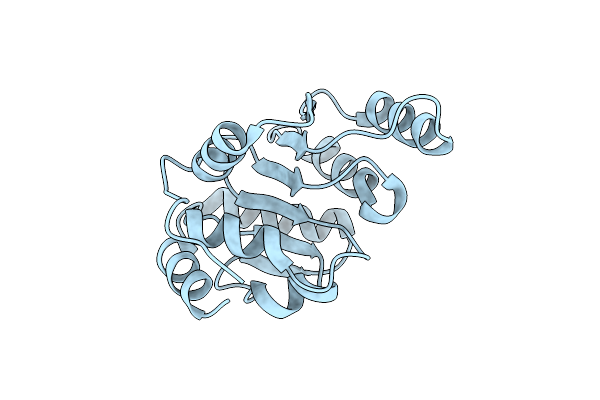 2F9F image