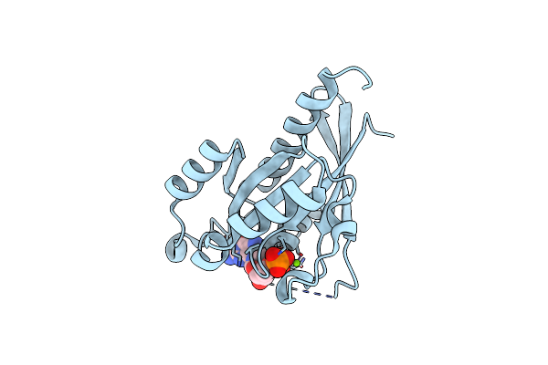 2F9L image