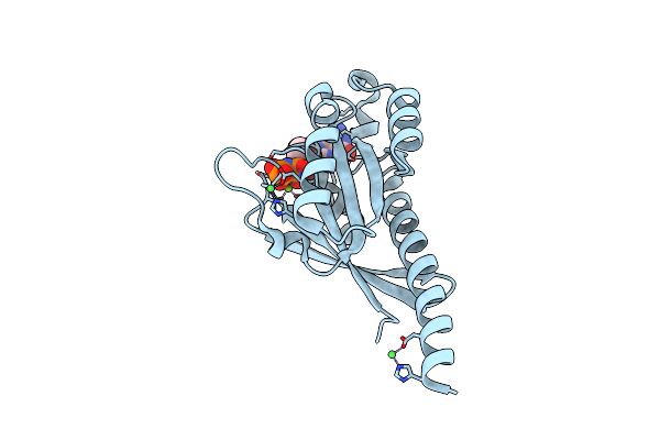 2F9M image
