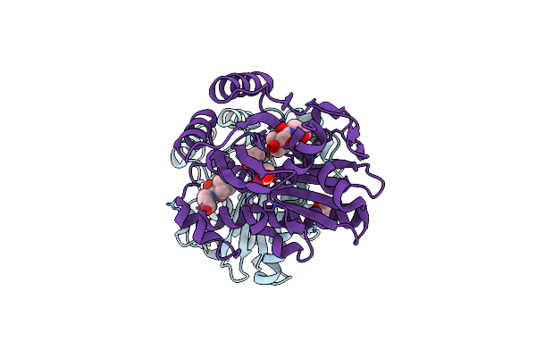 2F9W image