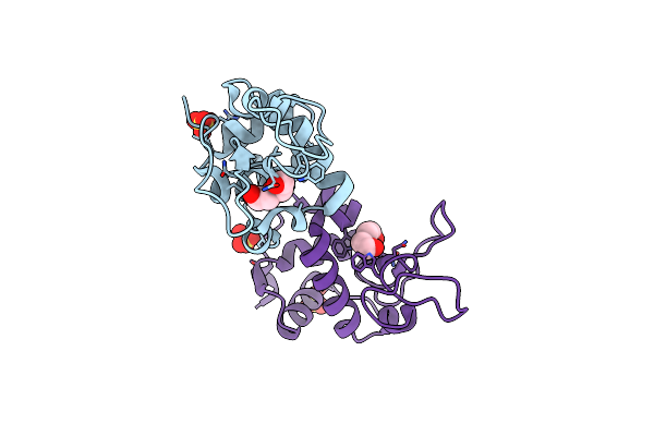 2FBD image