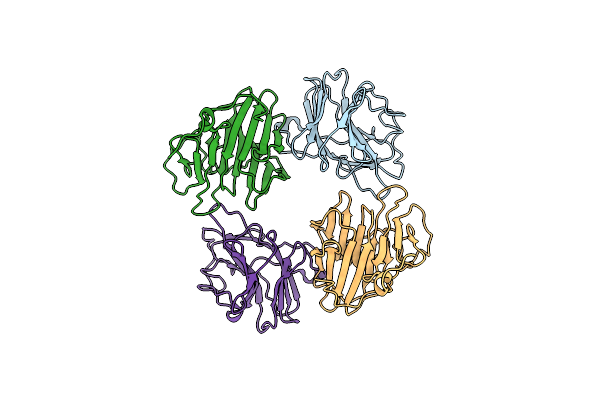 2FBE image