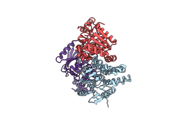 2FBM image
