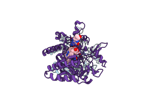 2FC2 image