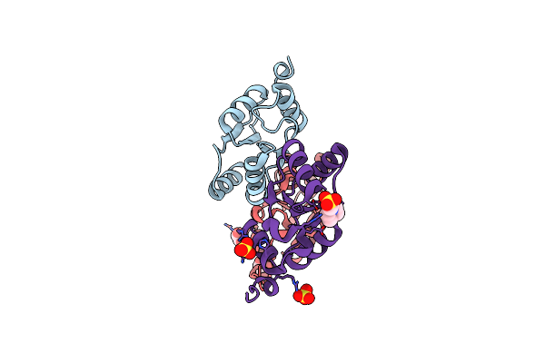 2FCJ image