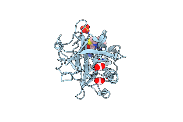2FDA image