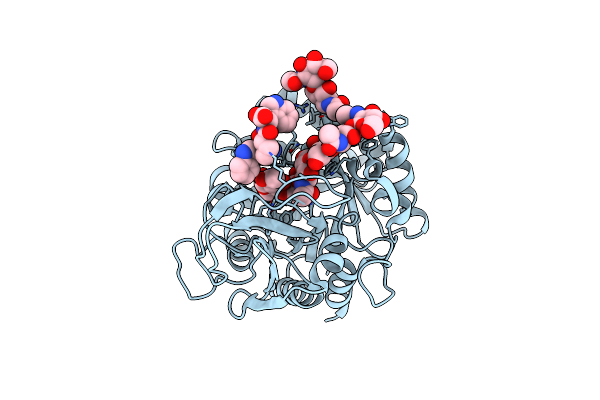 2FDM image
