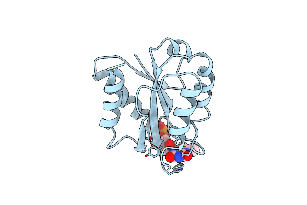 2FDX image