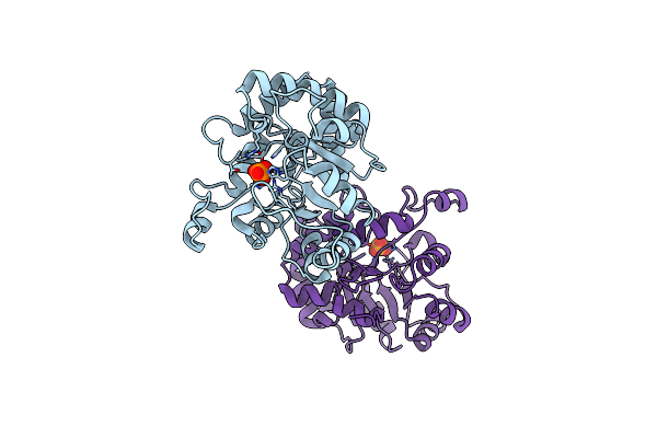 2FFI image