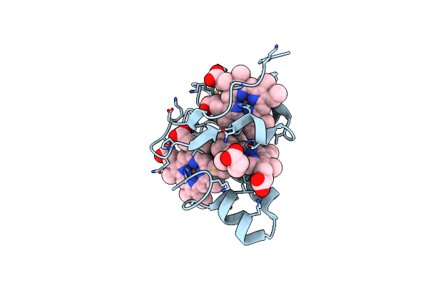 2FFN image