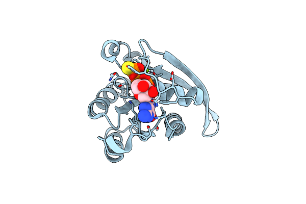 2FFQ image