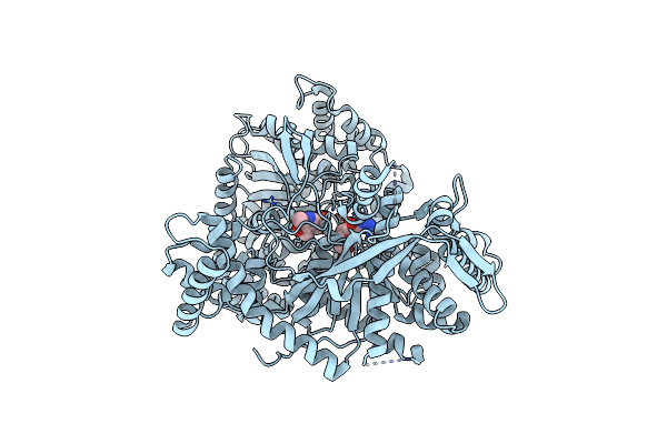 2FFR image