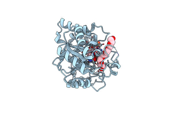 2FGB image