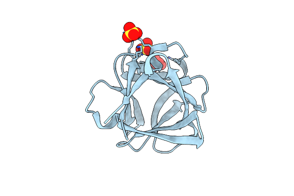 2FGF image