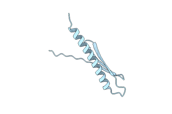 2FGG image