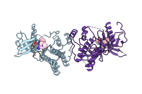 2FGI image