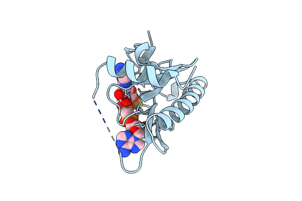 2FHI image