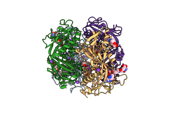 2FHJ image