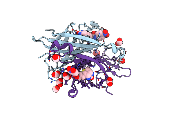 2FHL image