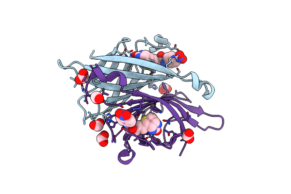2FHN image