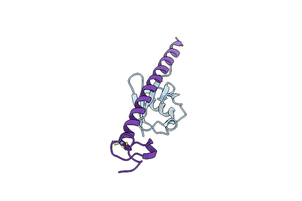 2FID image