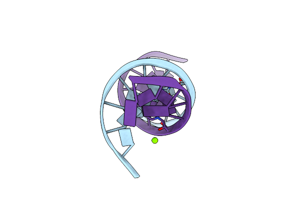 2FIH image