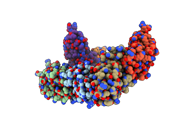 2FIP image