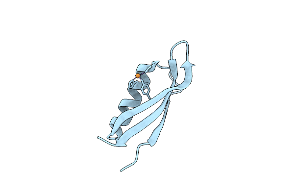 2FK1 image