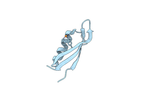 2FK2 image