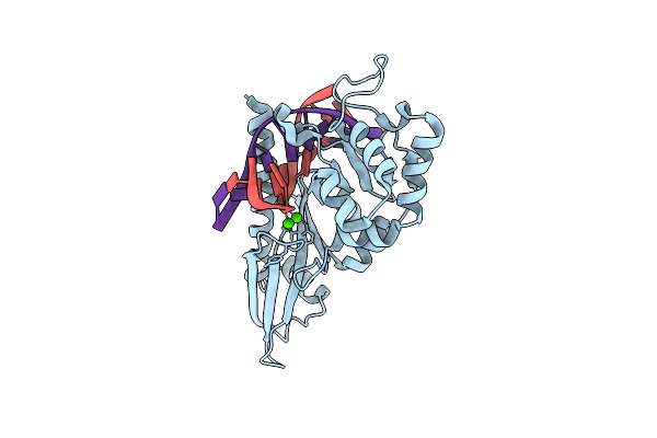 2FKH image