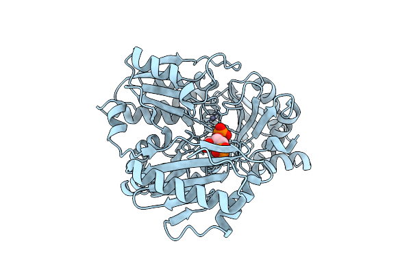 2FKM image