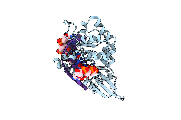 2FLC image